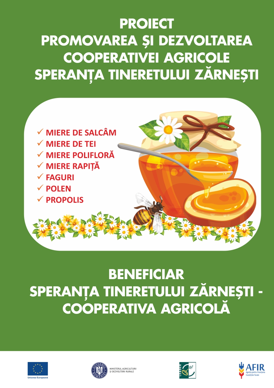 Brosura A5 CA Speranta Tineretului Zarnesti